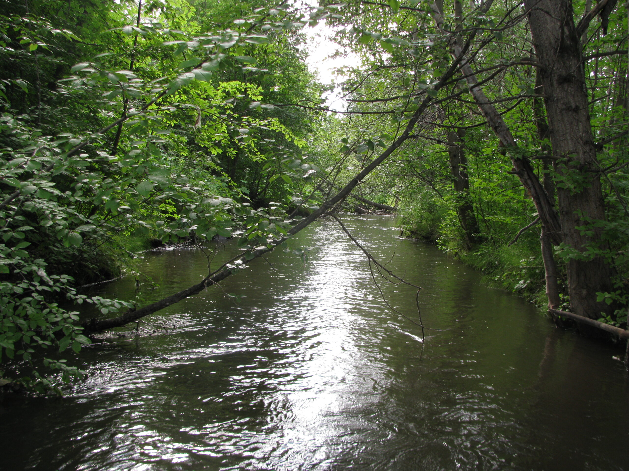 Cook-Inlet-Lake-Clark-National-Park-and-Preserve