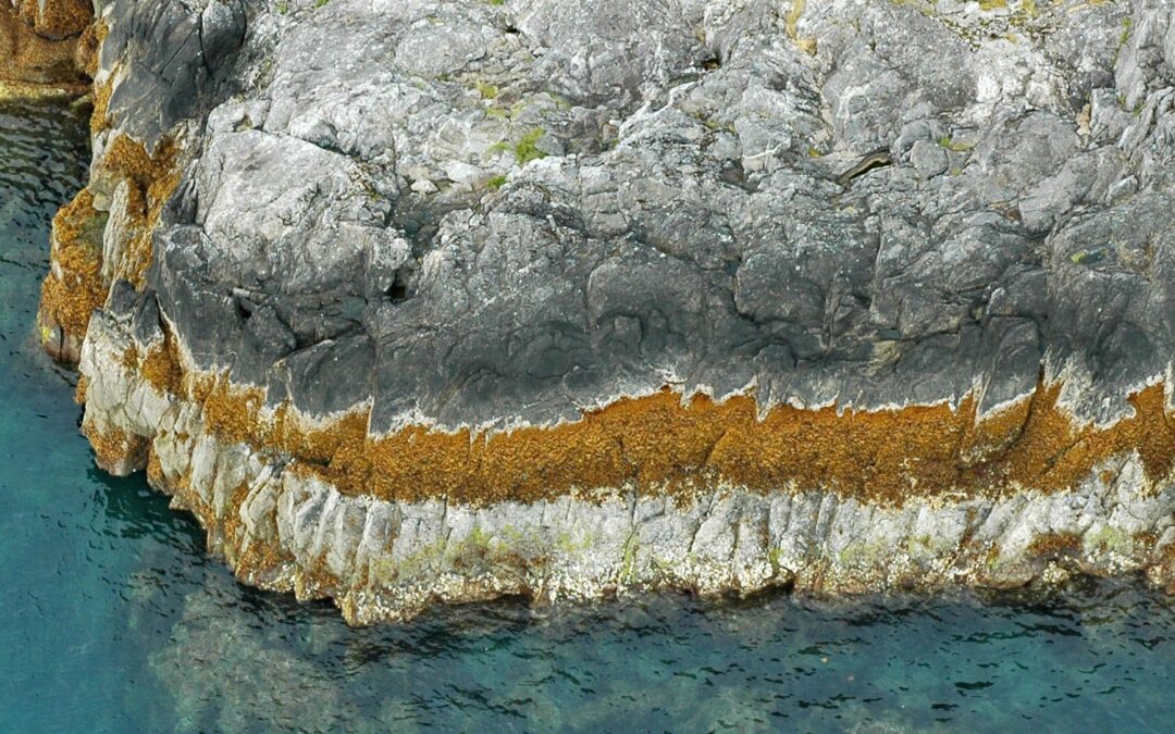 Help Stop Exxon from Running our Foreign Policy