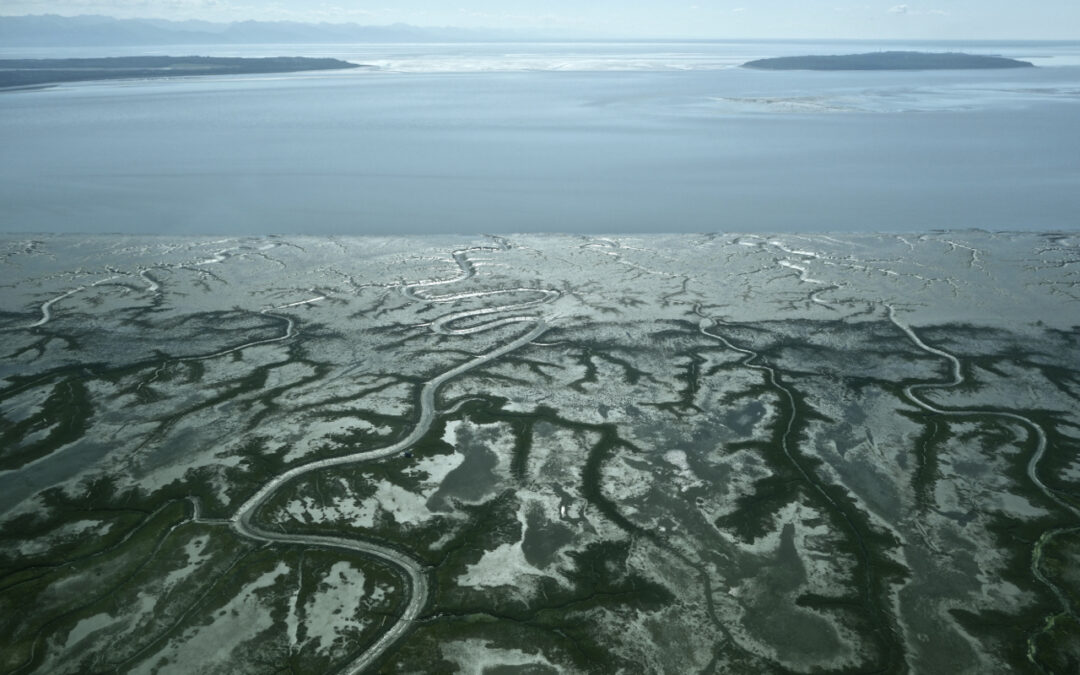 Say No to 404 Permitting in the State Budget!