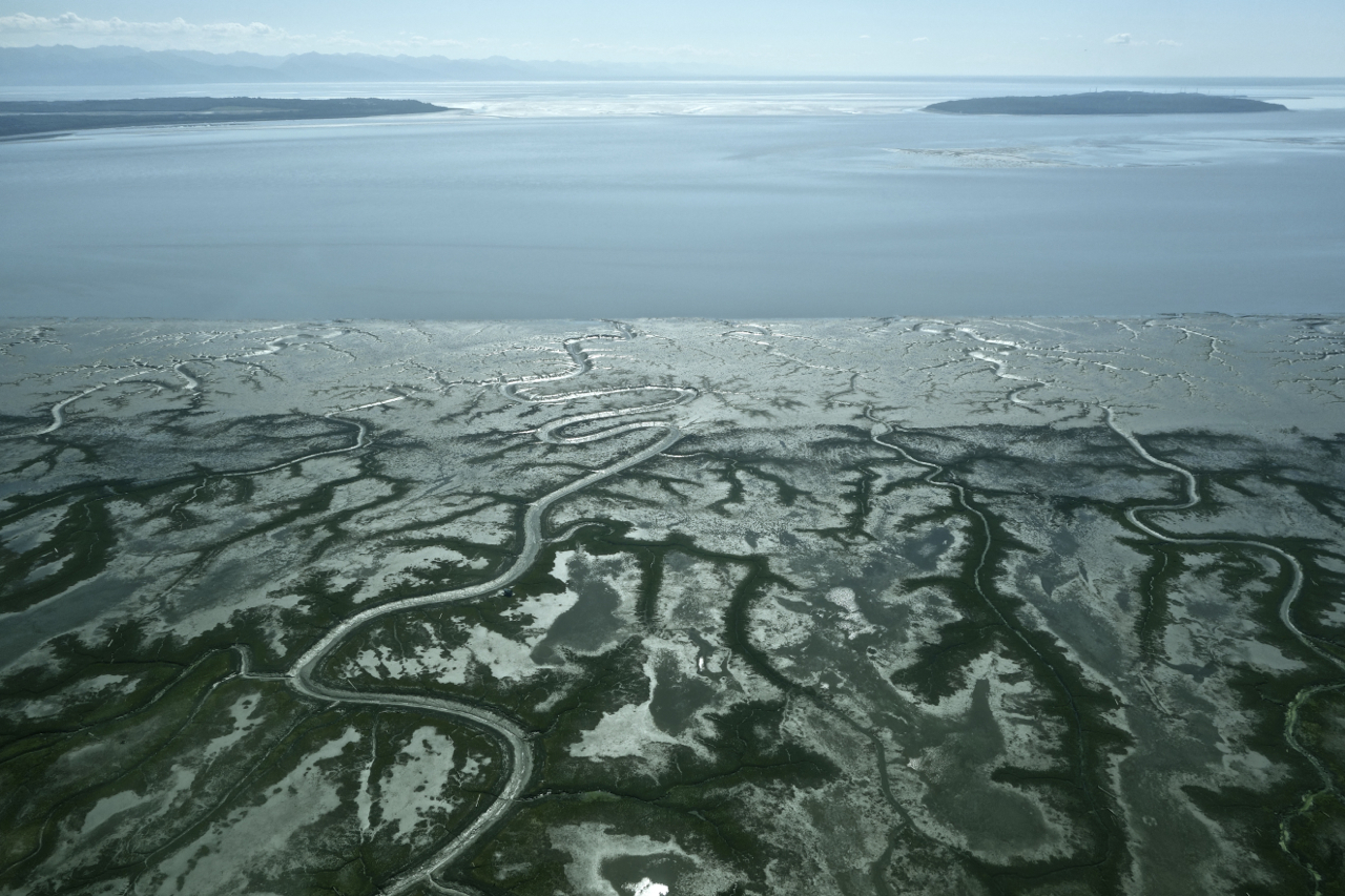 Say No to 404 Permitting in the State Budget!