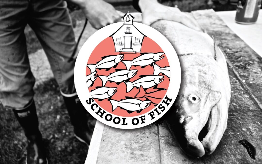 School Of Fish Workshop Series