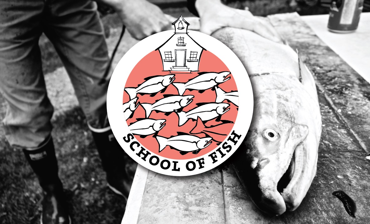 School Of Fish Workshop Series