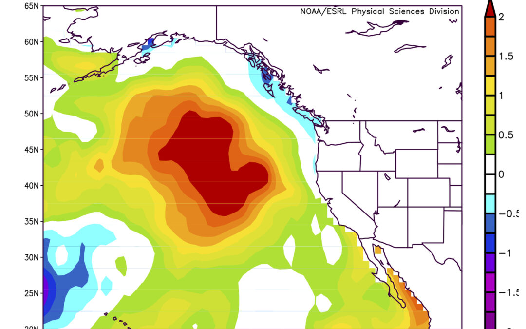 Urgent Climate Action
