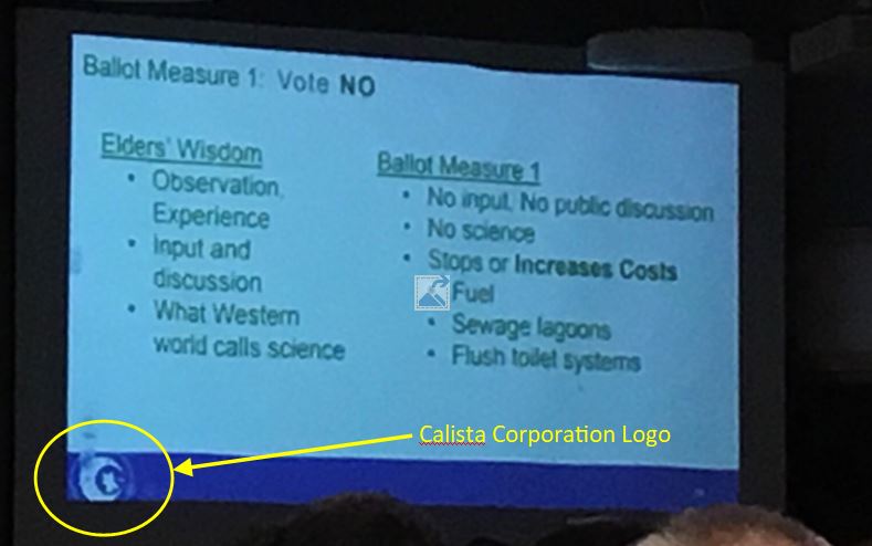 Why are Native Corporations misleading their shareholders?