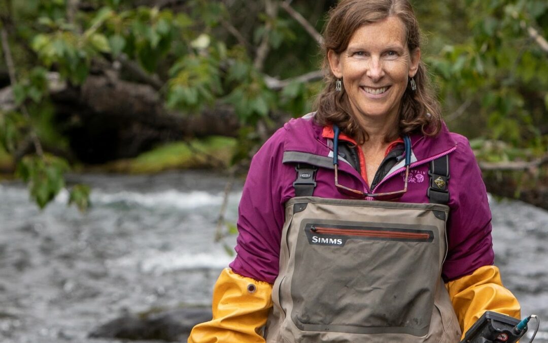 Letter from the Director