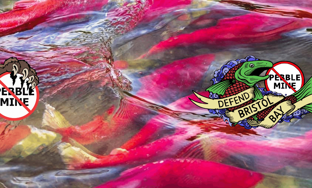 Go Mine the Dump Instead of Baby Salmon Nurseries in Bristol Bay