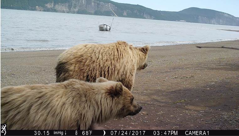 Johnson Tract Mine Prompts Big Questions