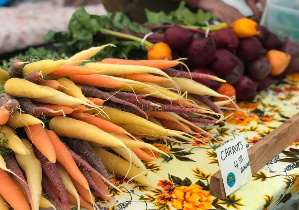 Tracking Your Carbon Foodprint