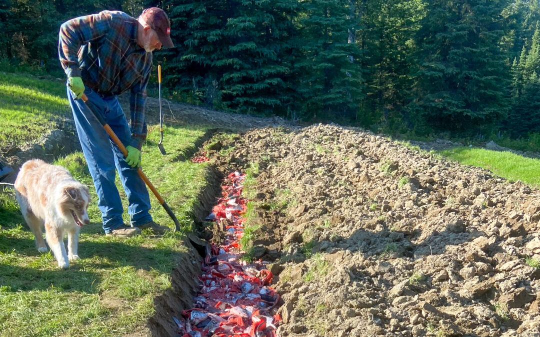 Organic Matter Matters