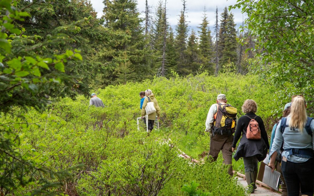 Organizing for Community Wellness, Hope and Resiliency