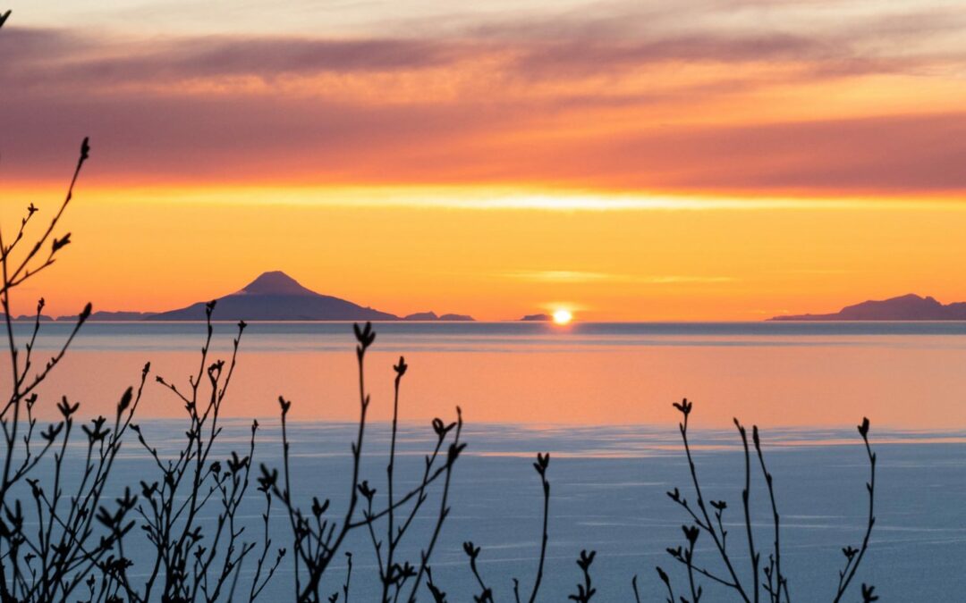 War, Energy and the Climate Crisis