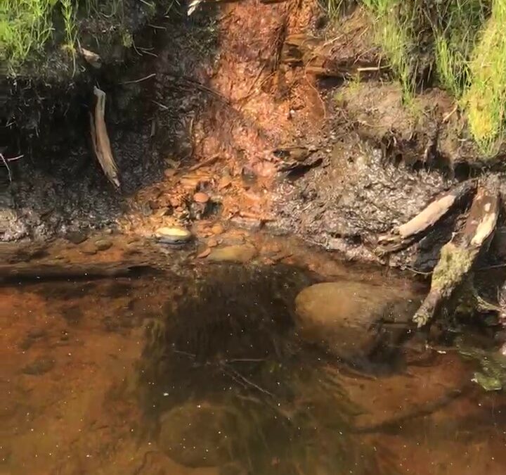 Cold-water Treasure Maps