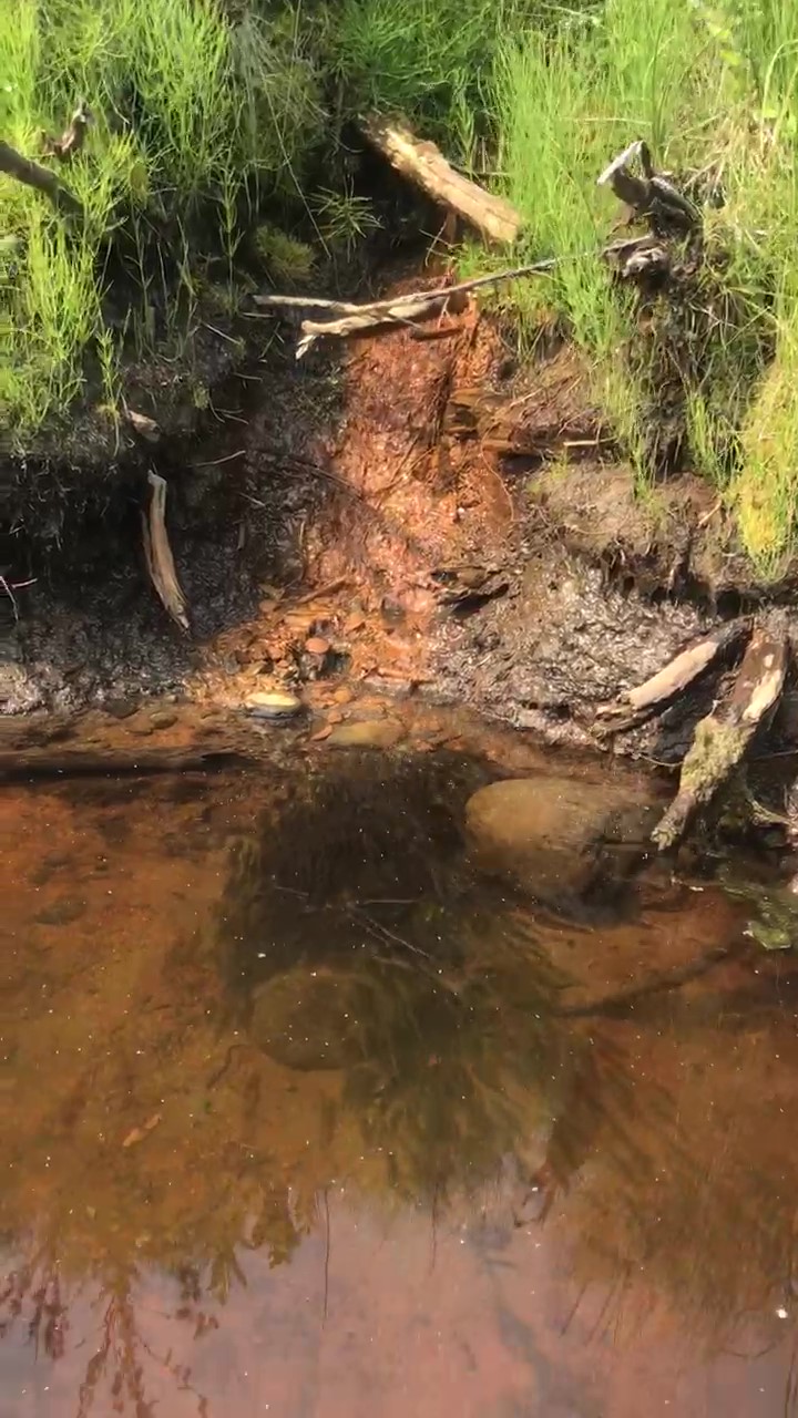 Cold-water Treasure Maps