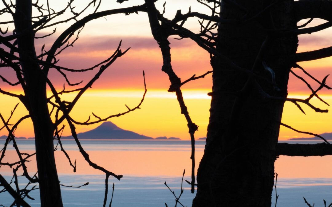 Oil & Gas Lease Sale 258 in Lower Cook Inlet Canceled