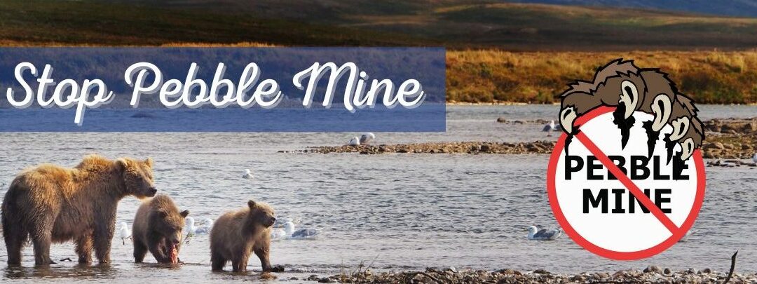 Tell the EPA to Finish the Job & Defend Bristol Bay