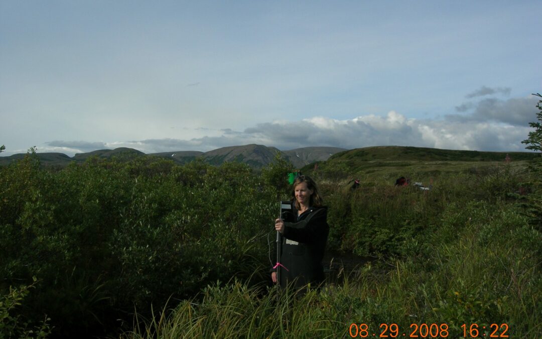 Push Back Against Pebble Mine, One Last Time