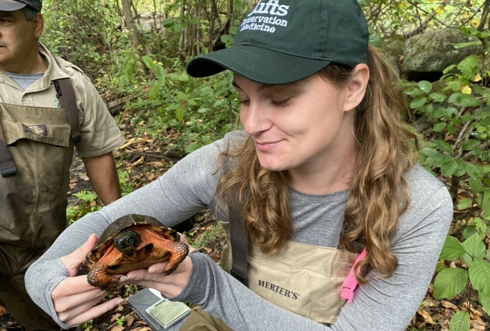 Living as Conservation Medicine Experts in Alaska