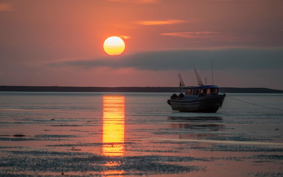 Cook Inlet is Worth It!