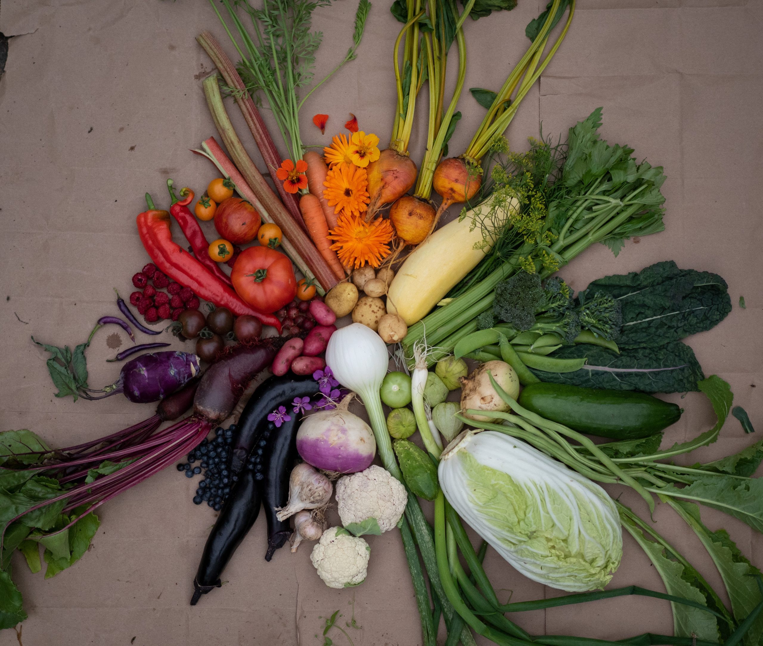 Fostering Local Resilience Through Food