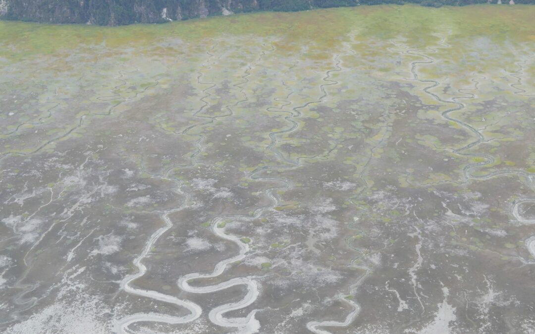 What the #@*% is 404 State Primacy