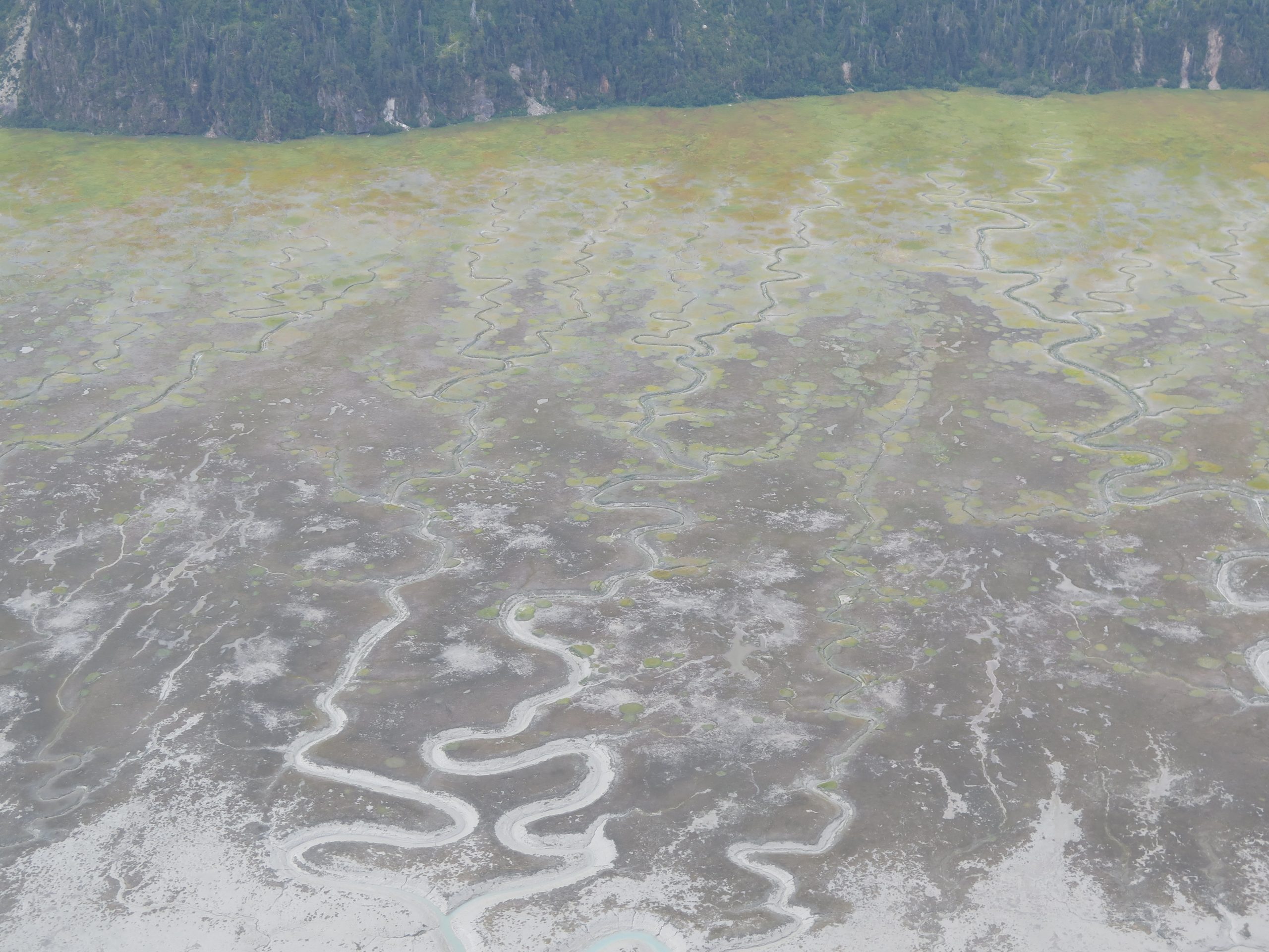 What the #@*% is 404 State Primacy