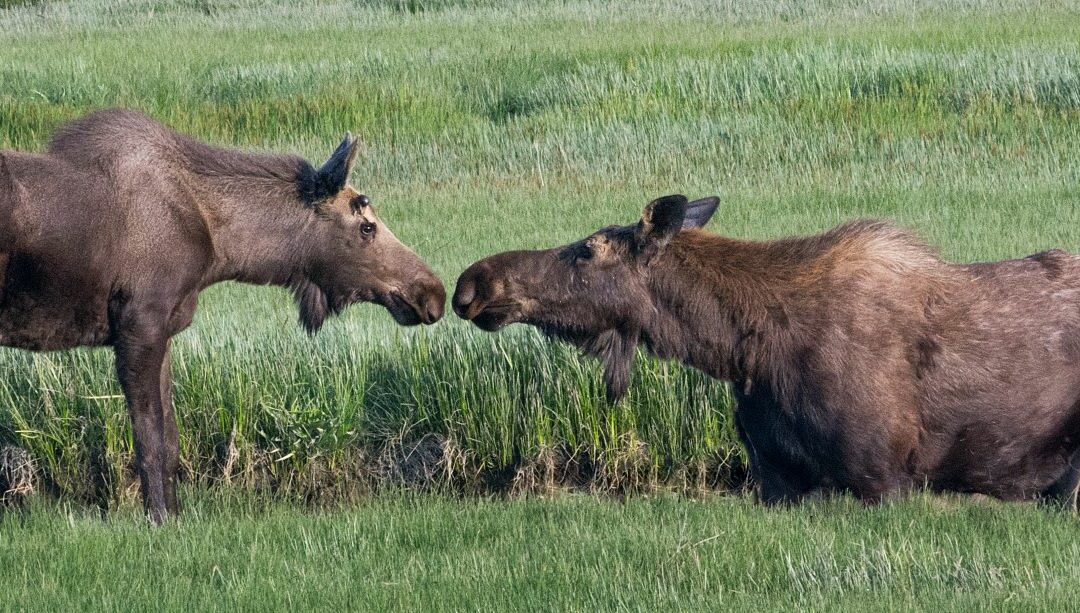 An Ode to the Clean Water Act