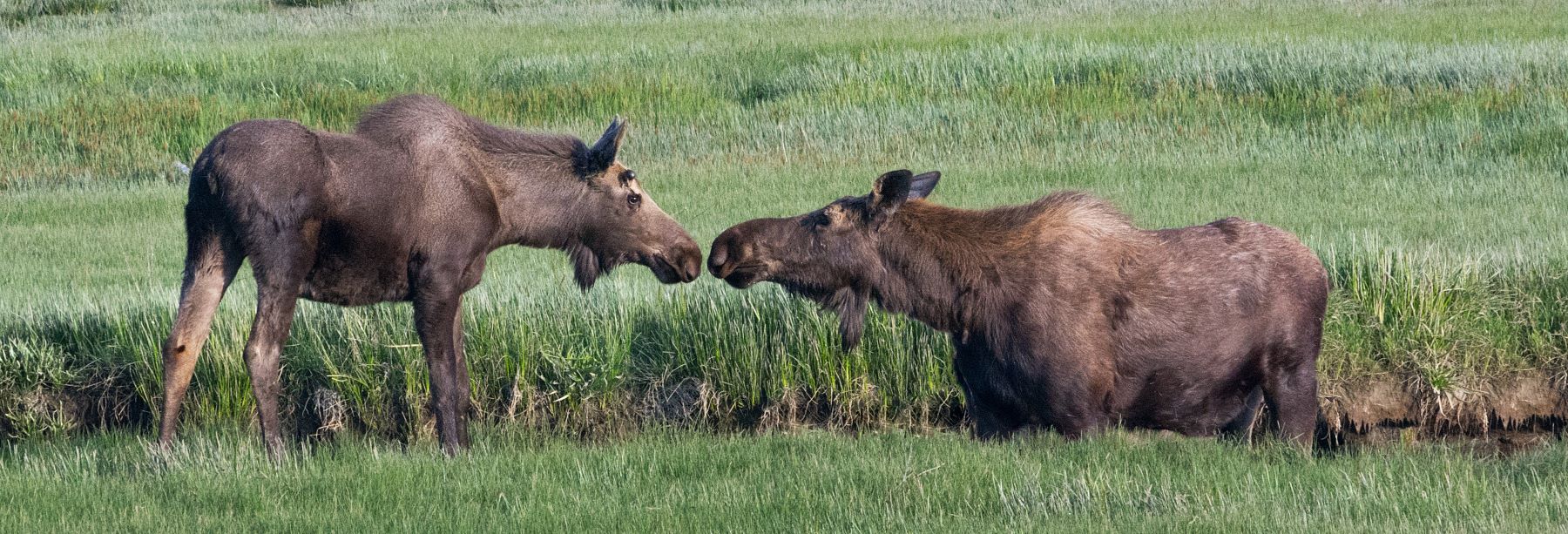 video: What does change look like?