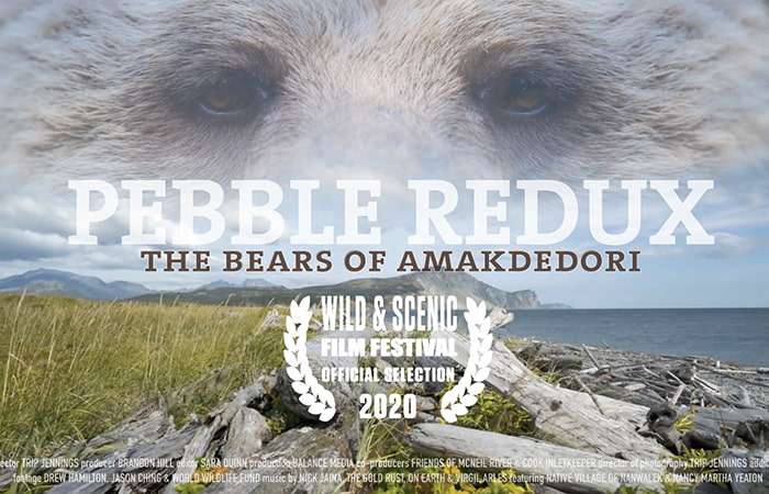 Pebble Redux Premier