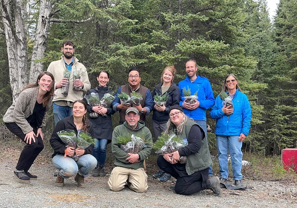 Soldotna Re-Tree Drawdown