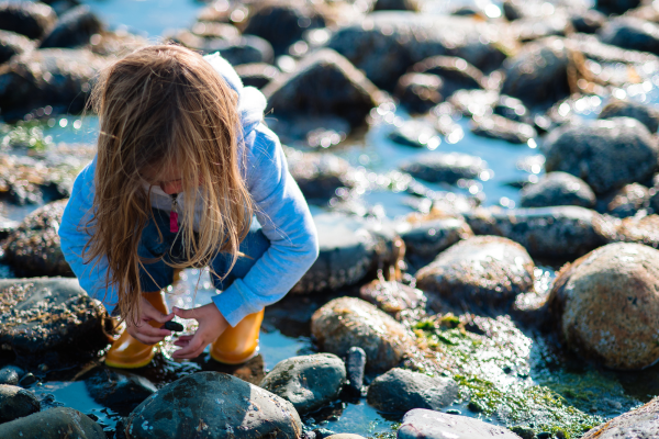 Cook Inletkeeper IRA Charitable Distributions: A Tax-Free Opportunity