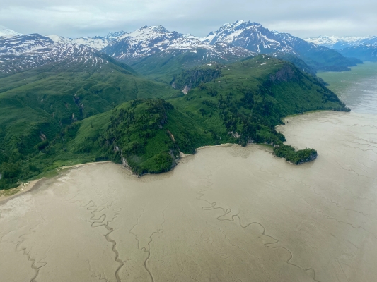 Protecting Cook Inlet Belugas and the Ecological Legacy of Tuxedni Bay