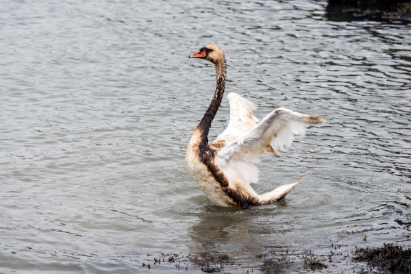 Our Modern Lives Demand Energy – So We Must Demand Energy We Can Live With