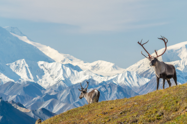 The Year Ahead: Defending Alaska’s Future Under a New Administration