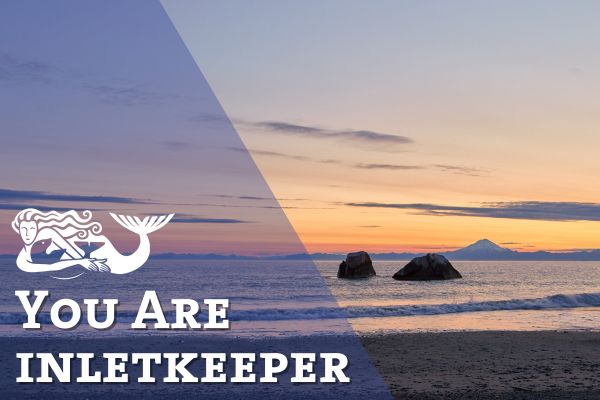 Cook Inlet at a Crossroads